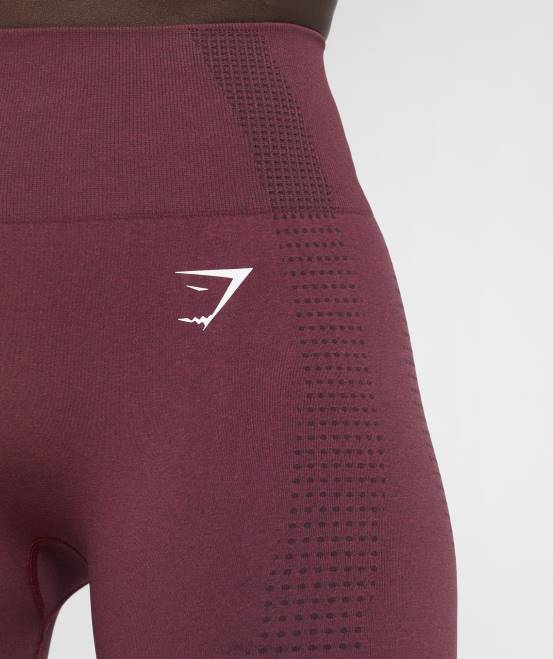 gebackener kastanienbrauner Mergel Kleidung Gymshark Frauen Vital Seamless 2.0 Leggings 04P8335