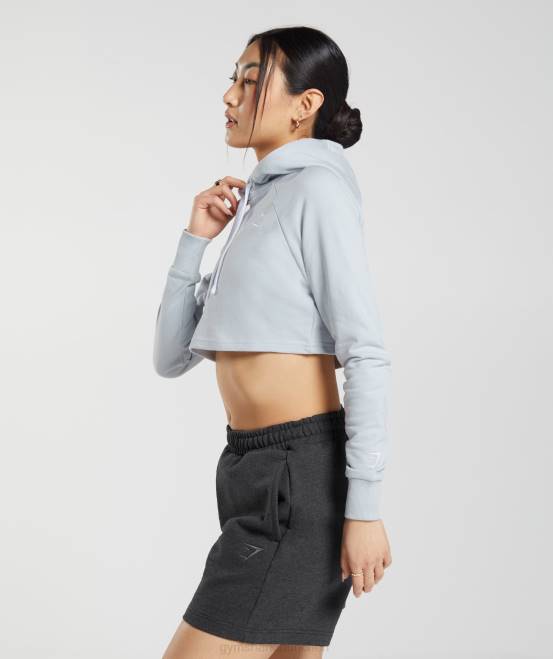 Flusssteingrau Kleidung Gymshark Frauen Kurzer Kapuzenpullover mit Stickerei und Grafik 04P8382