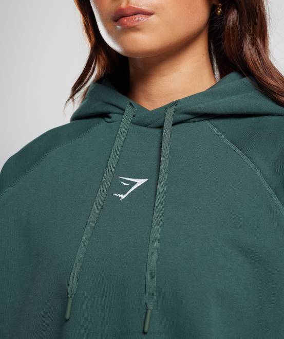 Nebelgrün Kleidung Gymshark Frauen Trainings-Kapuzenpullover aus Fleece in Übergröße 04P8346