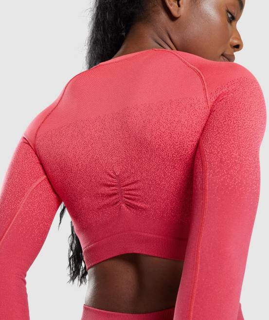 Pink Rot Kleidung Gymshark Frauen Adapt Ombre nahtloses, langärmliges Crop-Top 04P8488