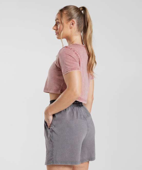 Terrakottarosa/Acid-Waschung Kleidung Gymshark Frauen Legacy-Crop-Top 04P8502