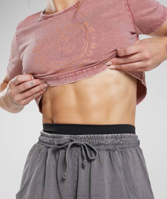 Terrakottarosa/Acid-Waschung Kleidung Gymshark Frauen Legacy-Crop-Top 04P8502