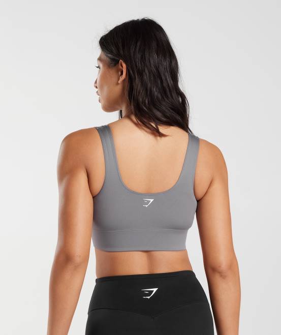 Titangrau Kleidung Gymshark Frauen Langer Sport-BH 04P8167