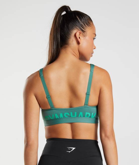 hoya grün Kleidung Gymshark Frauen Bruch-Sport-BH 04P8222