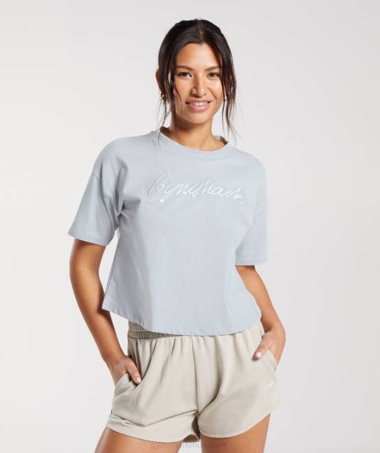 Flusssteingrau Kleidung Gymshark Frauen Besticktes, grafisches Midi-T-Shirt 04P8486