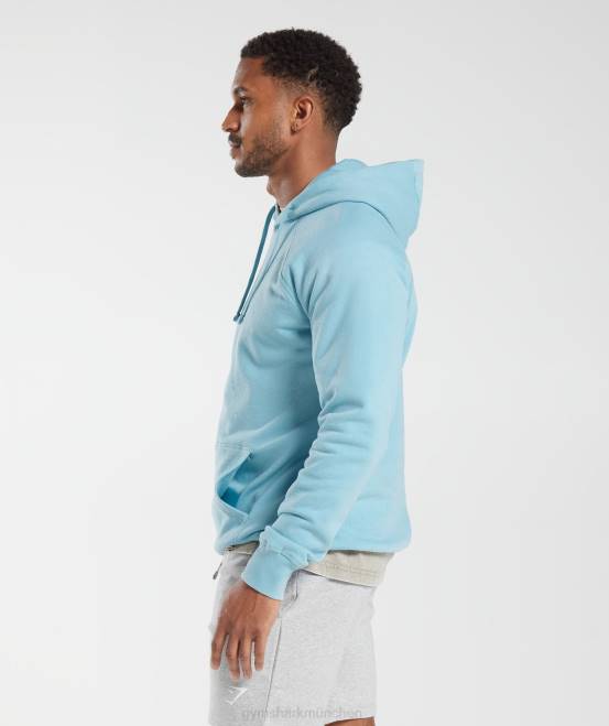Eisbergblau (ausverkauft) Kleidung Gymshark Männer Kapuzenpullover mit Wappen 04P8879
