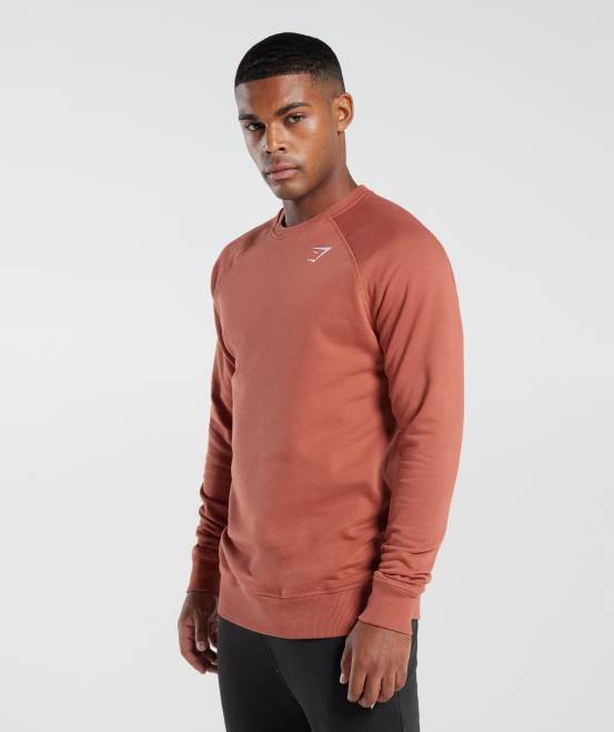 Kakirot Kleidung Gymshark Männer Wappen-Sweatshirt 04P81053