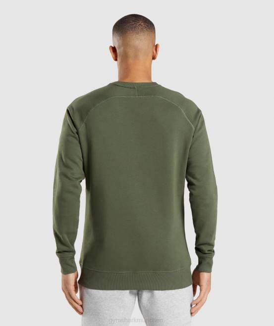 Kernolive Kleidung Gymshark Männer Wappen-Sweatshirt 04P8795