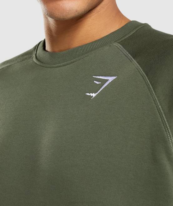Kernolive Kleidung Gymshark Männer Wappen-Sweatshirt 04P8795