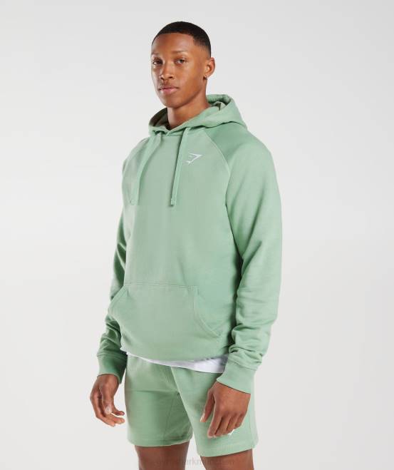 Wüstensalbeigrün Kleidung Gymshark Männer Kapuzenpullover mit Wappen 04P8823