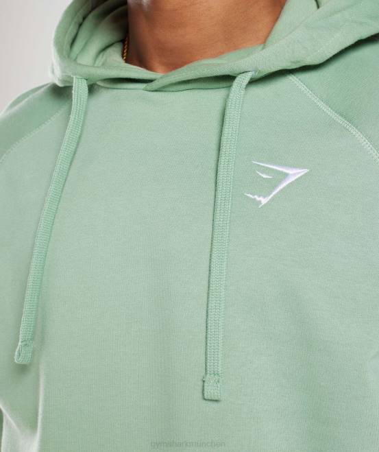 Wüstensalbeigrün Kleidung Gymshark Männer Kapuzenpullover mit Wappen 04P8823