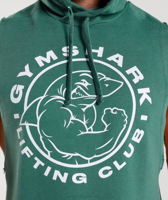 hoya grün Kleidung Gymshark Männer Legacy-Kapuzenpullover mit Drop-Arm 04P8842