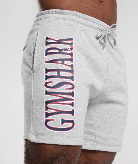 hellgrauer Kernmergel Kleidung Gymshark Männer Retrowave-Shorts 04P8535