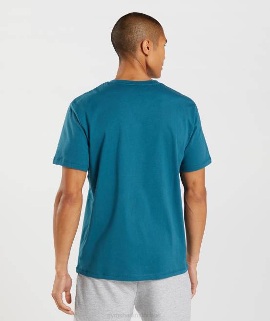 Atlantikblau Kleidung Gymshark Männer T-Shirt mit Haifischkopf-Füllung 04P8662