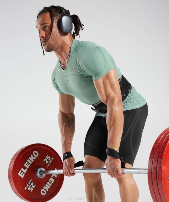 Frost-Petrol/Tinten-Petrol (ausverkauft) Kleidung Gymshark Männer 315 nahtloses T-Shirt 04P8779