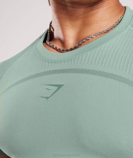 Frost-Petrol/Tinten-Petrol (ausverkauft) Kleidung Gymshark Männer 315 nahtloses T-Shirt 04P8779