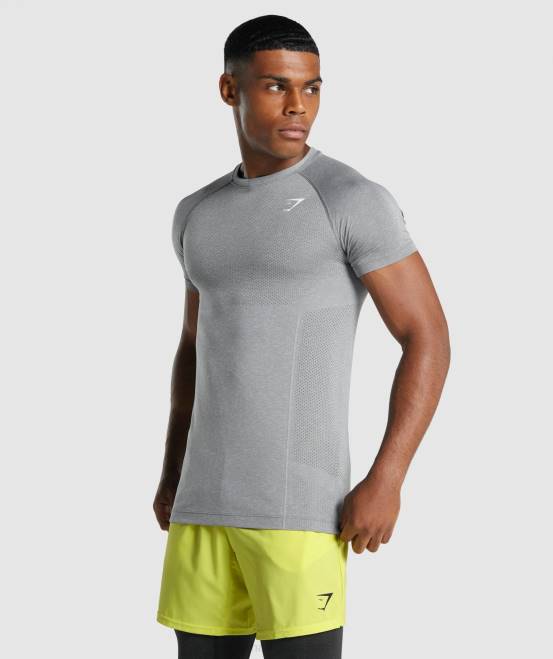 Holzkohle Mergel Kleidung Gymshark Männer Vital Light nahtloses T-Shirt 04P8684