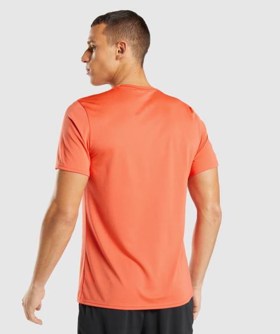 Papaya-Orange Kleidung Gymshark Männer Ankunfts-T-Shirt 04P8748