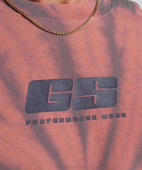 Terrakottarosa/Altkastanienbraun/Spiraloptik (ausverkauft) Kleidung Gymshark Männer Ruhetag-T-Shirt 04P8775