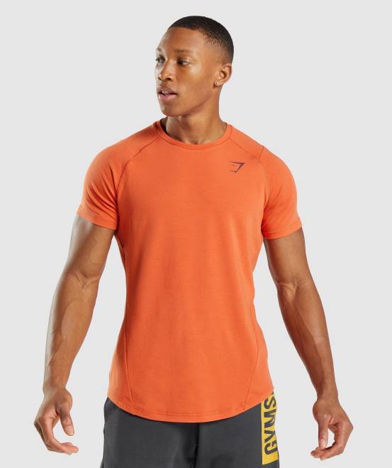 Tonorange Kleidung Gymshark Männer auffälliges T-Shirt 04P8695