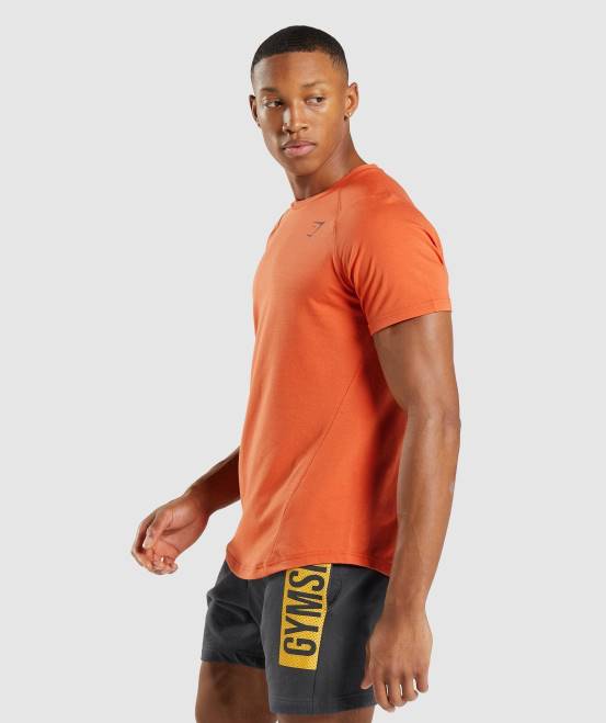 Tonorange Kleidung Gymshark Männer auffälliges T-Shirt 04P8695