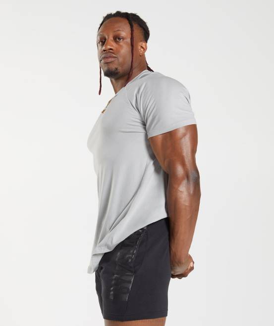 hellgrau Kleidung Gymshark Männer auffälliges T-Shirt 04P8762