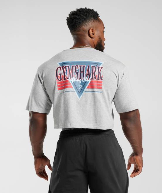hellgrauer Kernmergel Kleidung Gymshark Männer Retrowave-Crop-T-Shirt 04P8588
