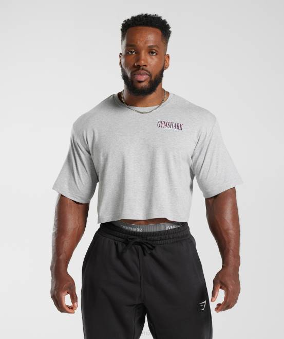 hellgrauer Kernmergel Kleidung Gymshark Männer Retrowave-Crop-T-Shirt 04P8588