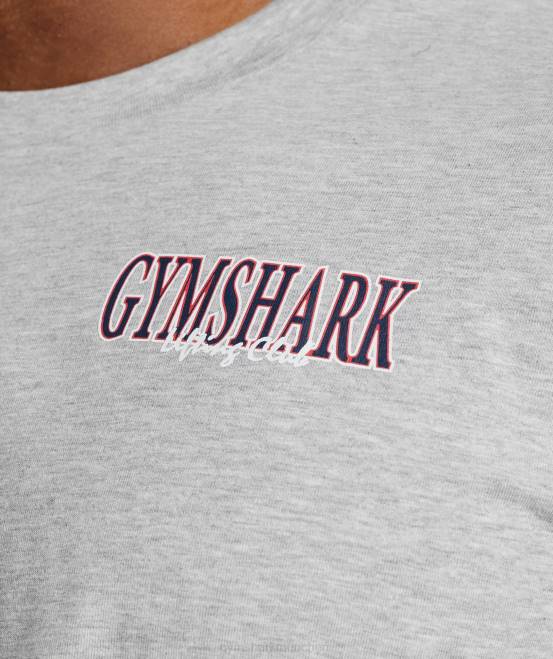 hellgrauer Kernmergel Kleidung Gymshark Männer Retrowave übergroßes T-Shirt 04P8587
