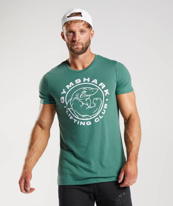 hoya grün Kleidung Gymshark Männer Legacy-T-Shirt 04P8697