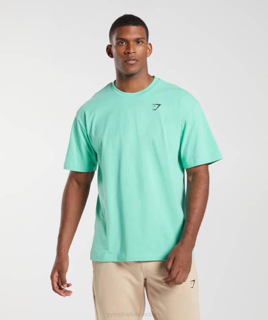 oxidiertes Grün Kleidung Gymshark Männer unverzichtbares übergroßes T-Shirt 04P8595