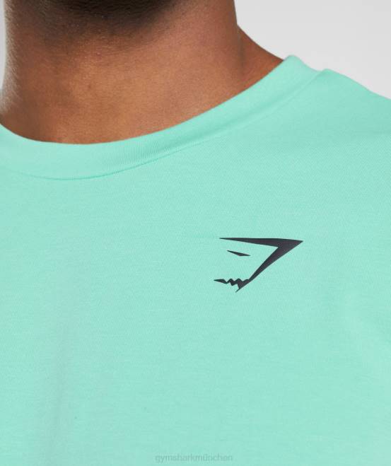 oxidiertes Grün Kleidung Gymshark Männer unverzichtbares übergroßes T-Shirt 04P8595