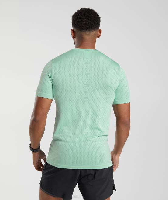 pastellgrün/weidengrün Kleidung Gymshark Männer Nahtloses Sport-T-Shirt 04P8715