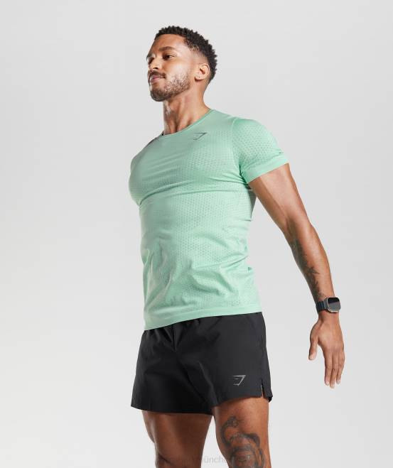 pastellgrün/weidengrün Kleidung Gymshark Männer Nahtloses Sport-T-Shirt 04P8715