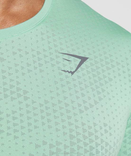 pastellgrün/weidengrün Kleidung Gymshark Männer Nahtloses Sport-T-Shirt 04P8715