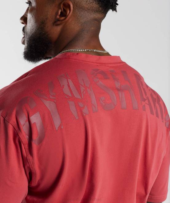 sonnengetrocknetes Rot Kleidung Gymshark Männer Power-T-Shirt 04P8602