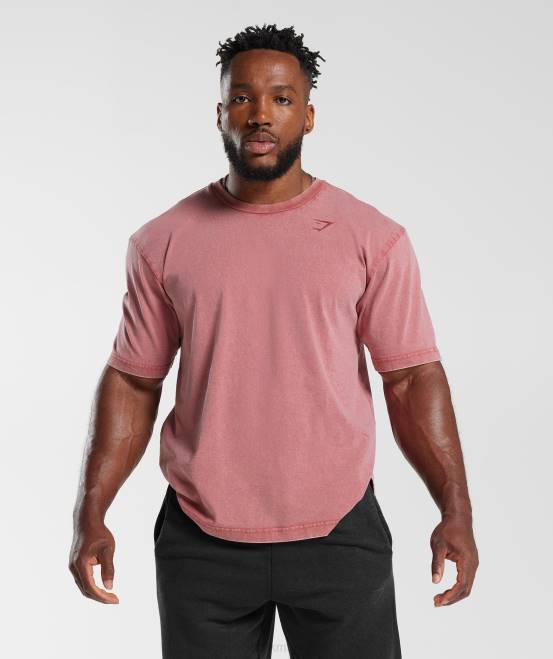 sonnengetrocknetes Rot Kleidung Gymshark Männer Powergewaschenes T-Shirt 04P8664