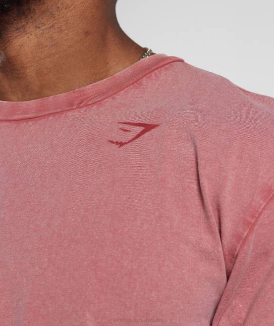 sonnengetrocknetes Rot Kleidung Gymshark Männer Powergewaschenes T-Shirt 04P8664